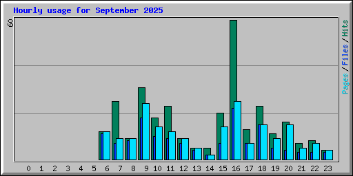 Hourly usage for September 2025