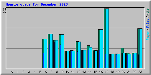 Hourly usage for December 2025