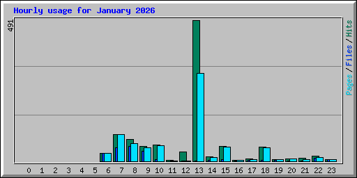 Hourly usage for January 2026